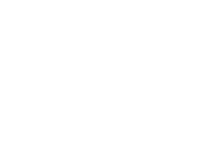 Art in Canvas Logo